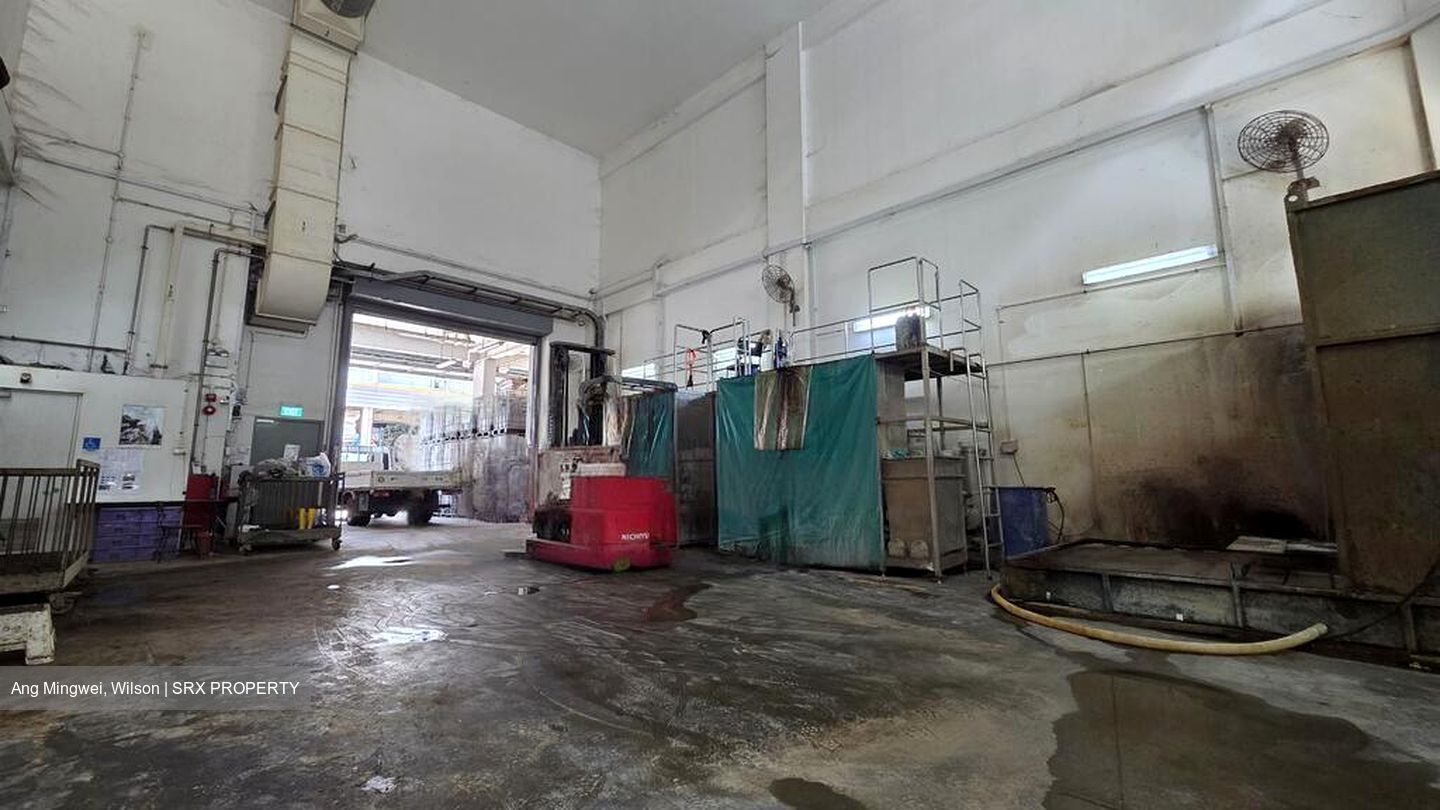 West Spring (D22), Factory #516400351